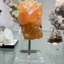 specimen video