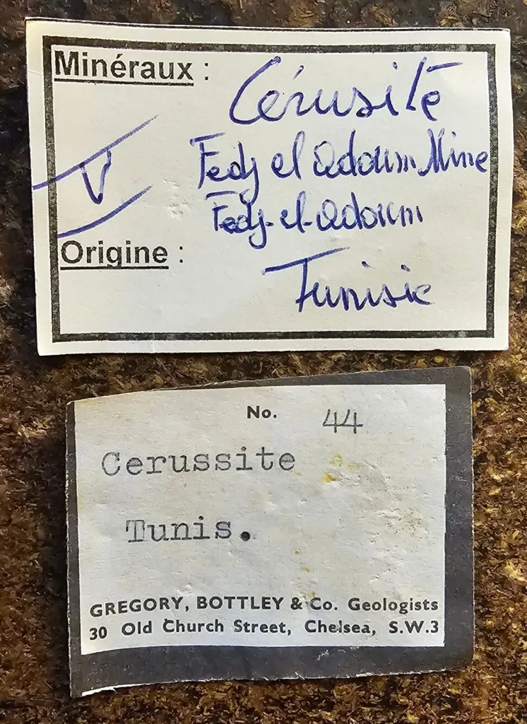 specimen