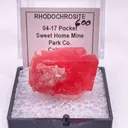 04-17 Pocket - image 1