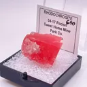 04-17 Pocket - image 3