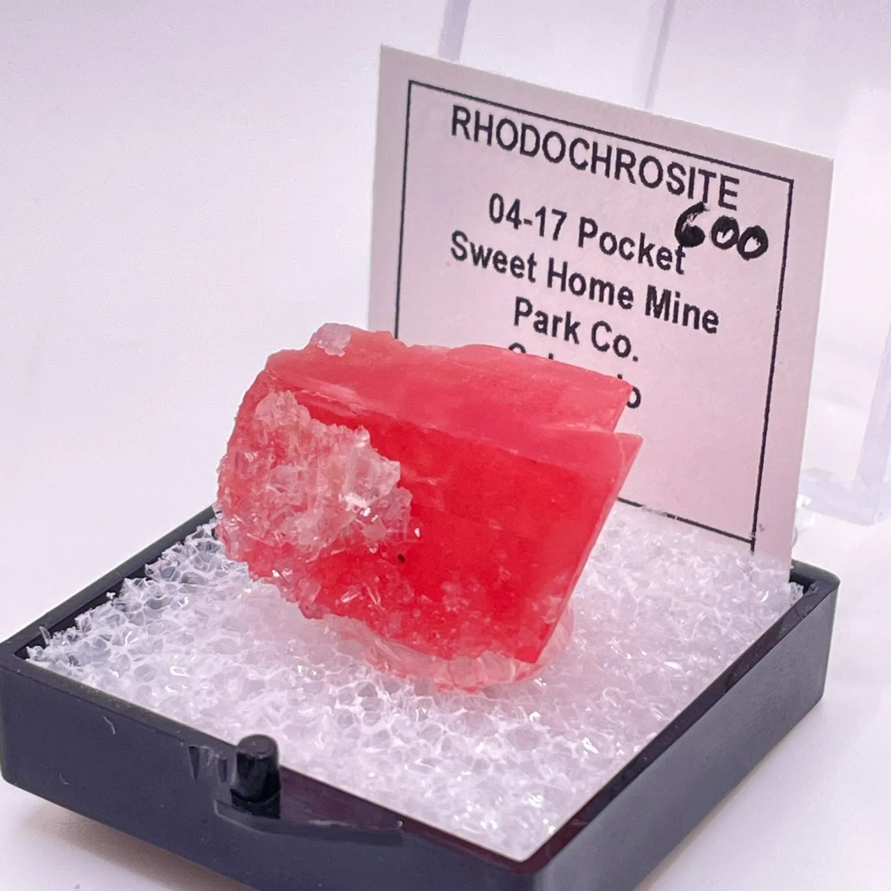 04-17 Pocket - image 3