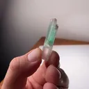 specimen video