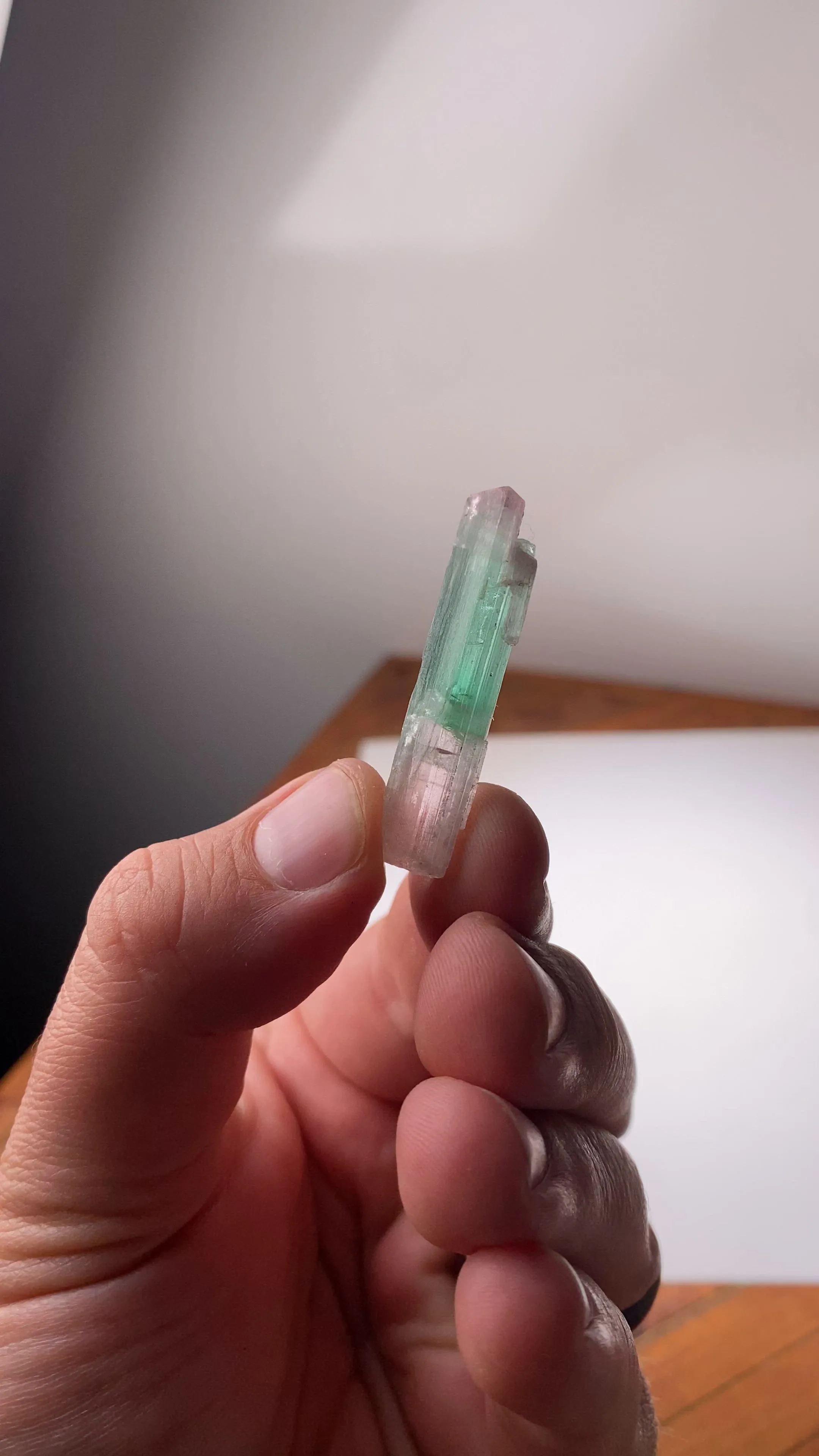 specimen video