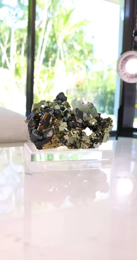 specimen video