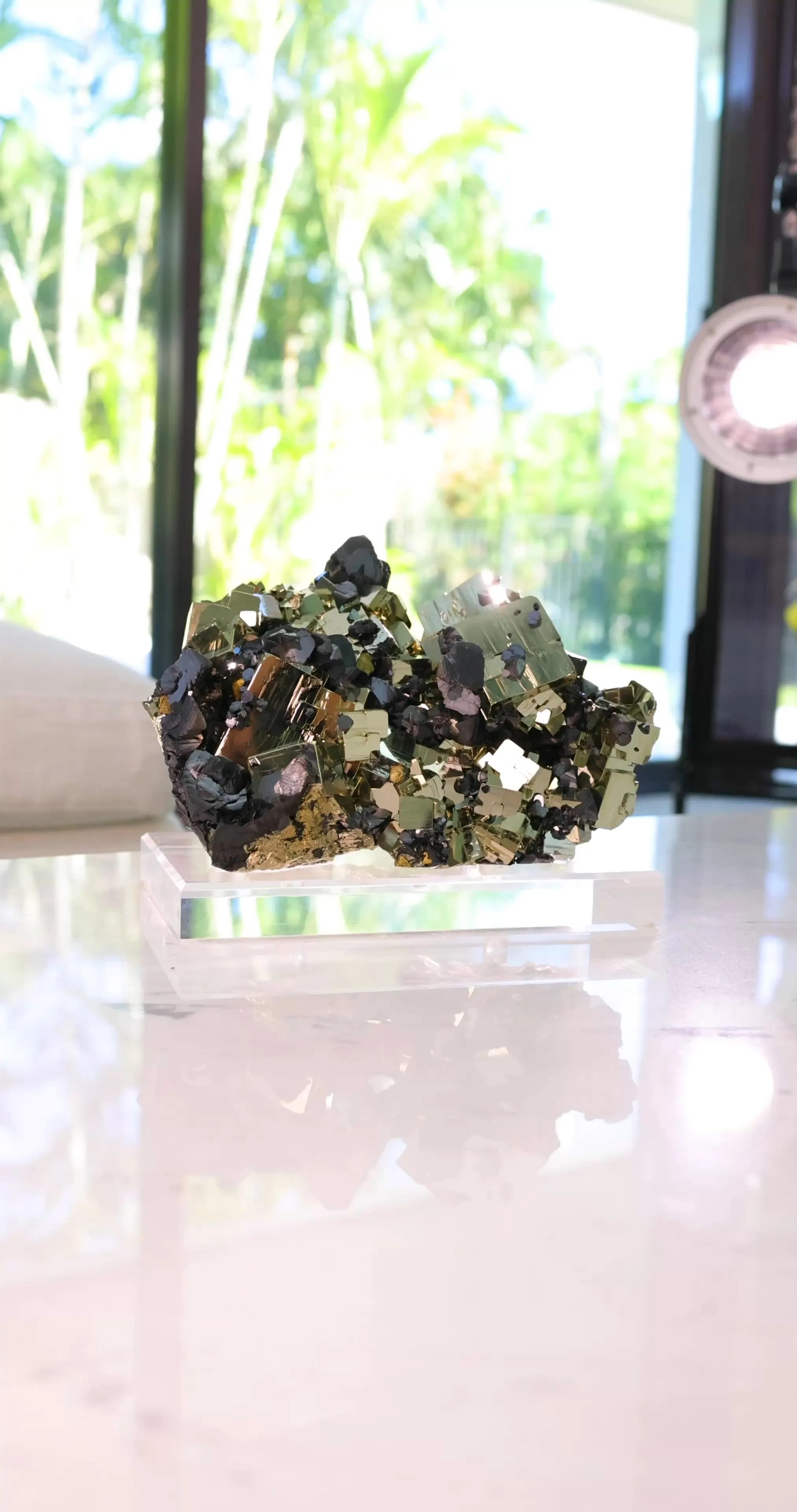 specimen video