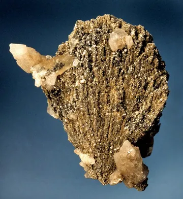 Pampa Blanca, Peru Locality Guide