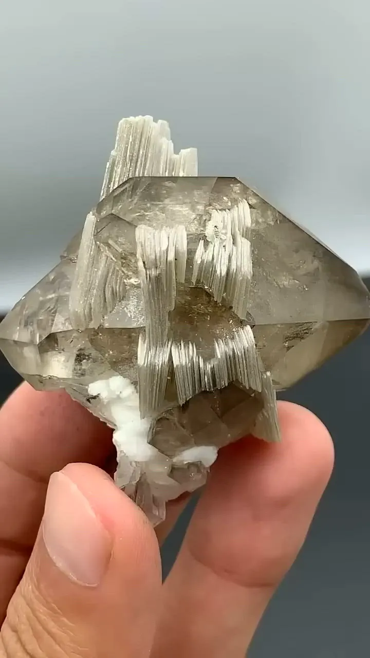 specimen video