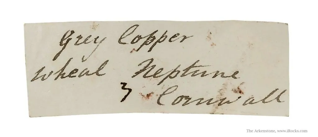 specimen