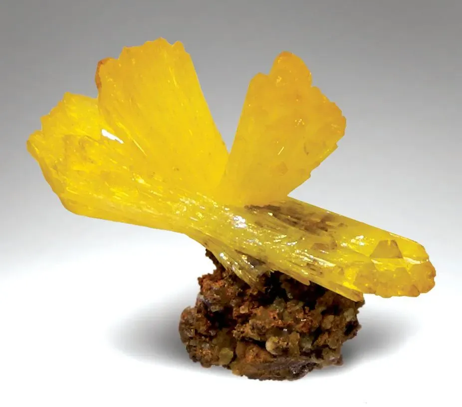 Rare Species, Ojuela Mine And Sunny Yellows From Mexico - EarthWonders Newsletter #6