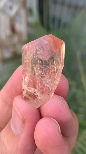 specimen video