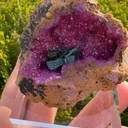 specimen video