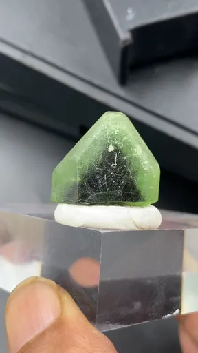 specimen video