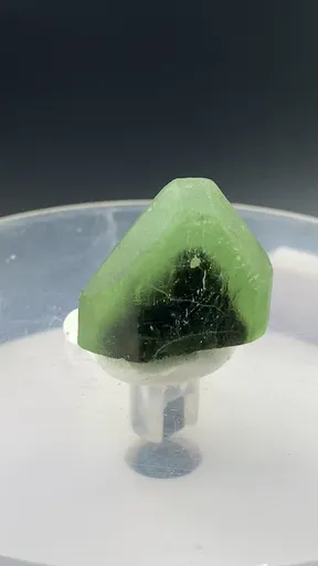 specimen video