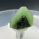 specimen video
