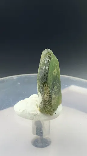 specimen video