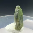 specimen video