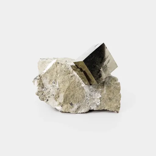 specimen video