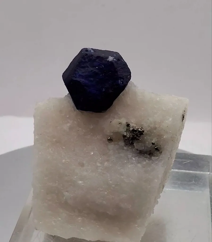 specimen video