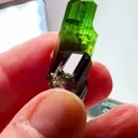 11.47 GRAMS OF CHROME Dravite MAGIC - image 3