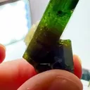 11.47 GRAMS OF CHROME Dravite MAGIC - image 4
