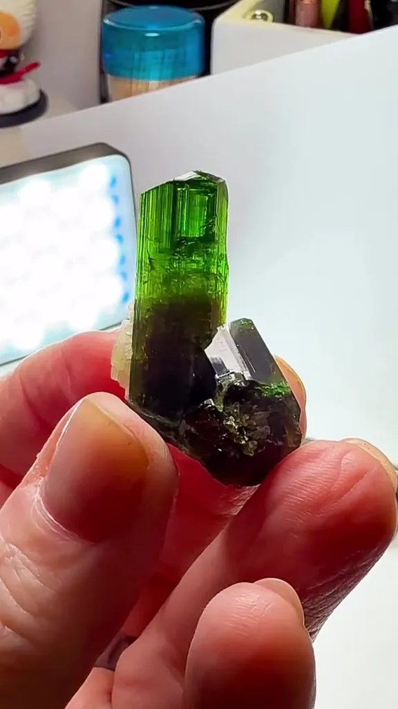11.47 GRAMS OF CHROME Dravite MAGIC image