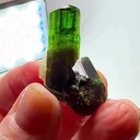11.47 GRAMS OF CHROME Dravite MAGIC - image 1