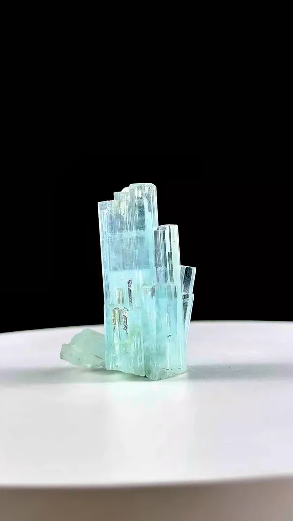 specimen video