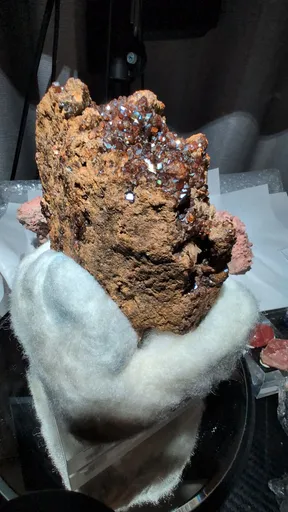 specimen video