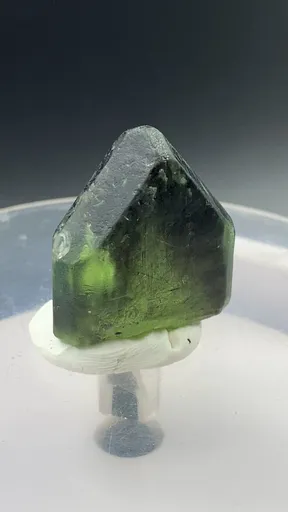 specimen video