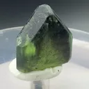 specimen video