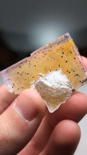 specimen video