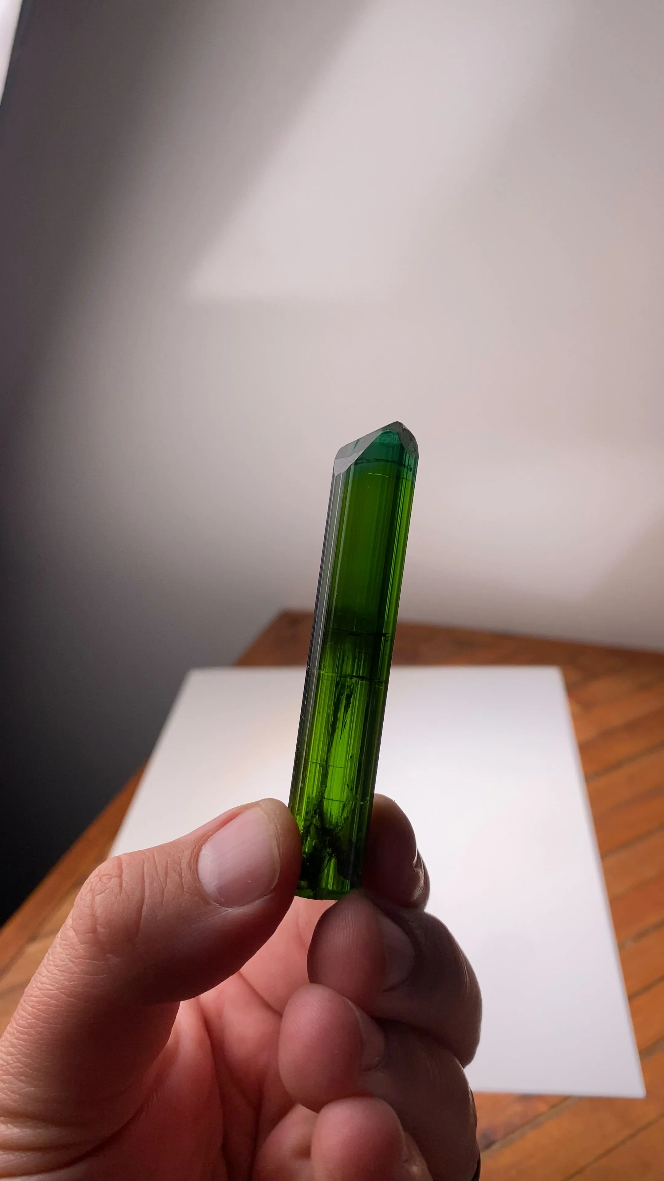 specimen video
