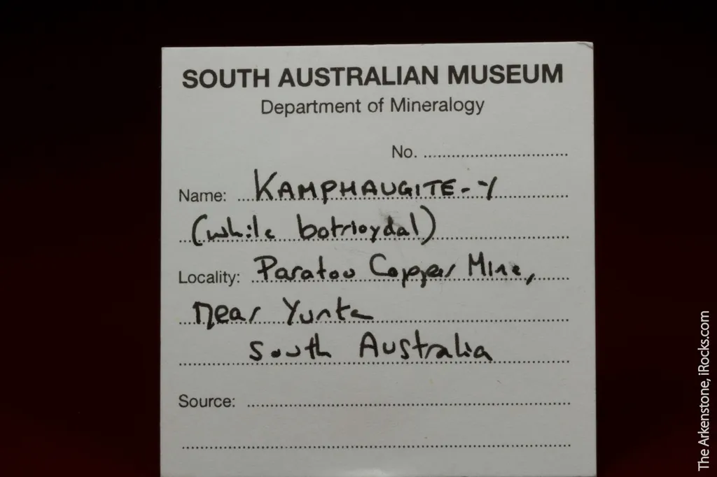 specimen