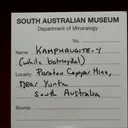 specimen