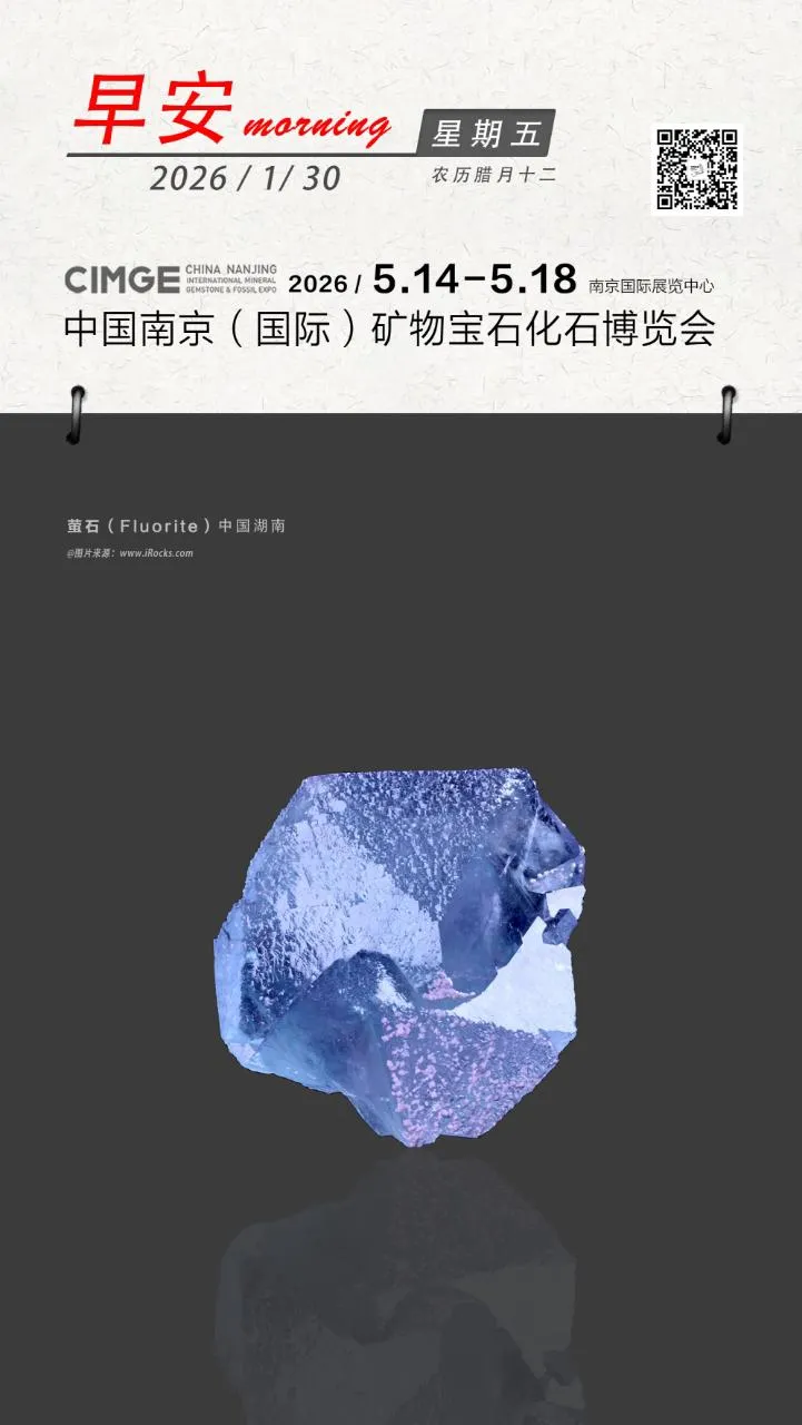 China Nanjing International Gem Fossil Mineral Expo