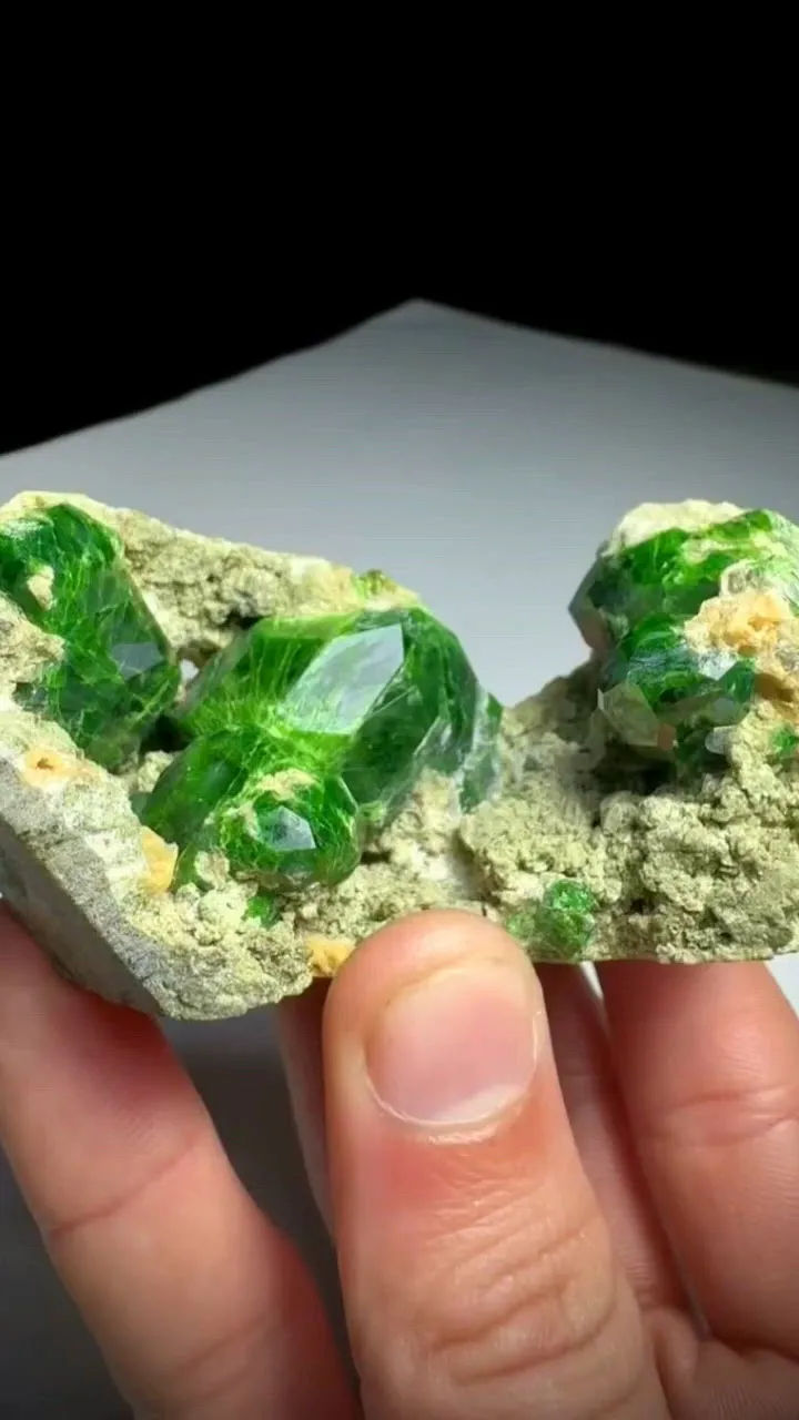 specimen video