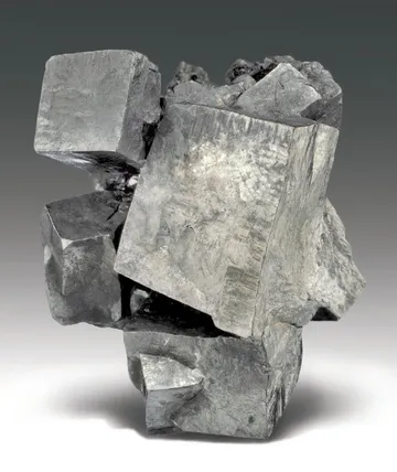 Rayas, Mexico Locality Guide