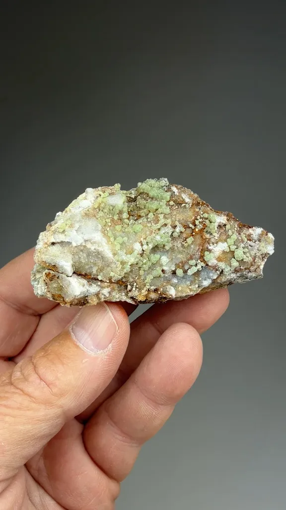 specimen