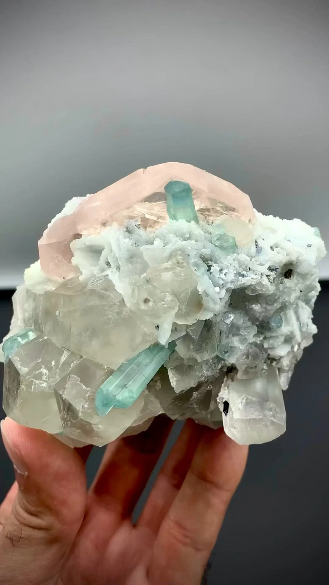 specimen video