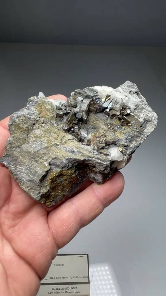 specimen