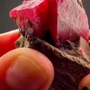 210.05 GRAMS OF CHERRY-RED Rhodonite ON MATRIX - image 2