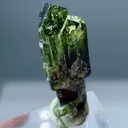 22+ Ct Natural Tri Colour Tourmaline Scepter Shape Crystal from Pakistan, Gilgit-Baltistan, Roundu District, Haramosh Mts., Stak Nala - image 6