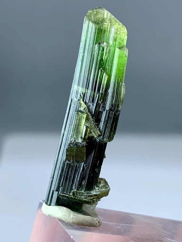 22+ Ct Natural Tri Colour Tourmaline Scepter Shape Crystal from Pakistan, Gilgit-Baltistan, Roundu District, Haramosh Mts., Stak Nala - image 4