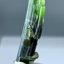 22+ Ct Natural Tri Colour Tourmaline Scepter Shape Crystal from Pakistan, Gilgit-Baltistan, Roundu District, Haramosh Mts., Stak Nala - image 4