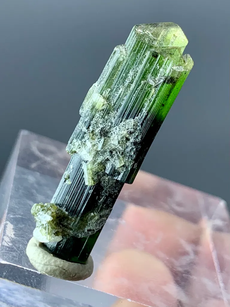 22+ Ct Natural Tri Colour Tourmaline Scepter Shape Crystal from Pakistan, Gilgit-Baltistan, Roundu District, Haramosh Mts., Stak Nala - image 5