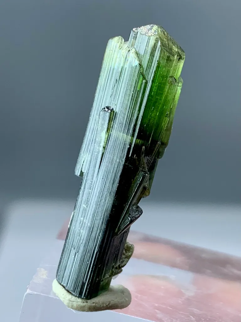 22+ Ct Natural Tri Colour Tourmaline Scepter Shape Crystal from Pakistan, Gilgit-Baltistan, Roundu District, Haramosh Mts., Stak Nala - image 3