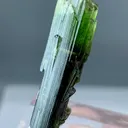 22+ Ct Natural Tri Colour Tourmaline Scepter Shape Crystal from Pakistan, Gilgit-Baltistan, Roundu District, Haramosh Mts., Stak Nala - image 3