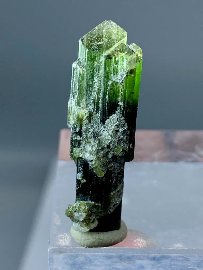22+ Ct Natural Tri Colour Tourmaline Scepter Shape Crystal from Pakistan, Gilgit-Baltistan, Roundu District, Haramosh Mts., Stak Nala image