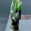 22+ Ct Natural Tri Colour Tourmaline Scepter Shape Crystal from Pakistan, Gilgit-Baltistan, Roundu District, Haramosh Mts., Stak Nala - image 1