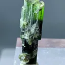 22+ Ct Natural Tri Colour Tourmaline Scepter Shape Crystal from Pakistan, Gilgit-Baltistan, Roundu District, Haramosh Mts., Stak Nala - image 2